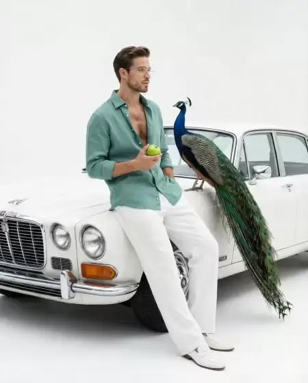 Riviera Dreaming
